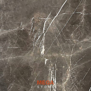 เทียร์ตร้าเกรย์