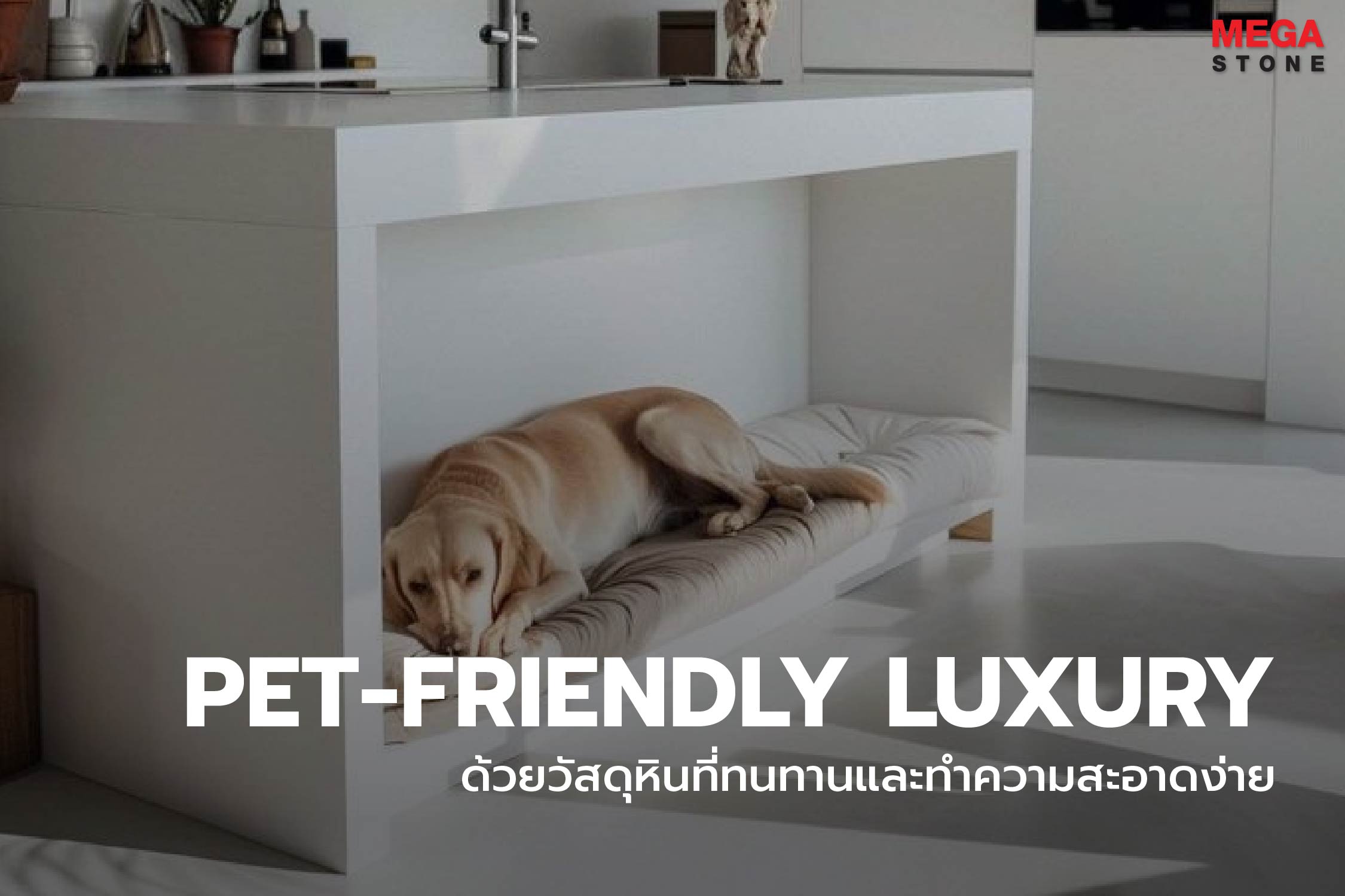 Pet-Friendly Luxury: เทคนิคแต่งบ้านหรูที่พร้อมรับมือกับเจ้าตัวแสบ ด้วยวัสดุหินที่ทนทานและทำความสะอาดง่าย